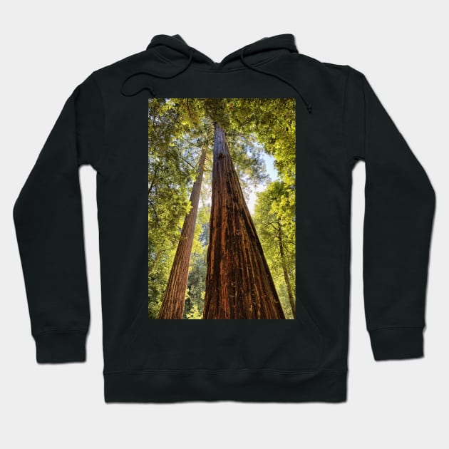 The Redwoods Hoodie by yairkarelic